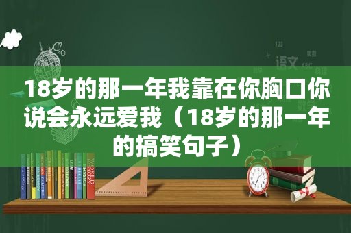 18岁的那一年我靠在你胸口你说会永远爱我（18岁的那一年的搞笑句子）