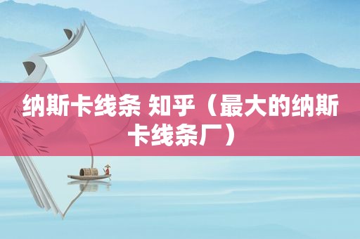 纳斯卡线条 知乎（最大的纳斯卡线条厂）