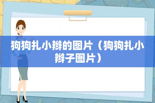 狗狗扎小辫的图片（狗狗扎小辫子图片）