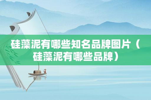 硅藻泥有哪些知名品牌图片（硅藻泥有哪些品牌）