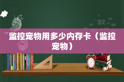 监控宠物用多少内存卡（监控宠物）