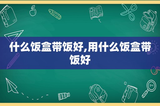 什么饭盒带饭好,用什么饭盒带饭好