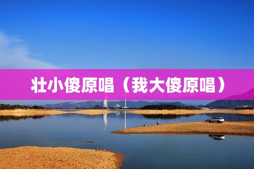 壮小傻原唱（我大傻原唱）