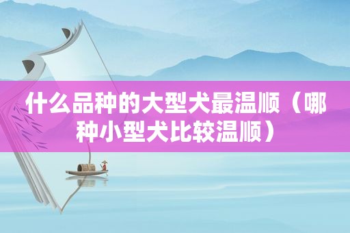 什么品种的大型犬最温顺（哪种小型犬比较温顺）
