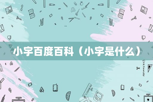 小宇百度百科（小宇是什么）