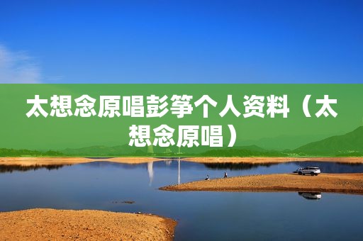 太想念原唱彭筝个人资料（太想念原唱）