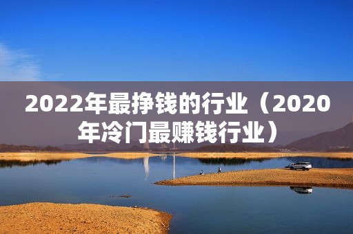 2022年最挣钱的行业（2020年冷门最赚钱行业）