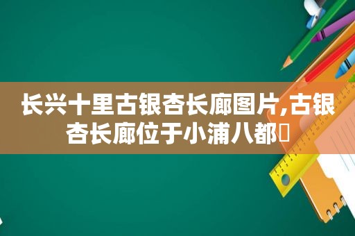 长兴十里古银杏长廊图片,古银杏长廊位于小浦八都岕