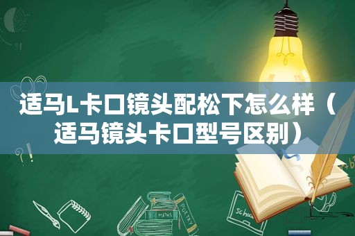 适马L卡口镜头配松下怎么样（适马镜头卡口型号区别）
