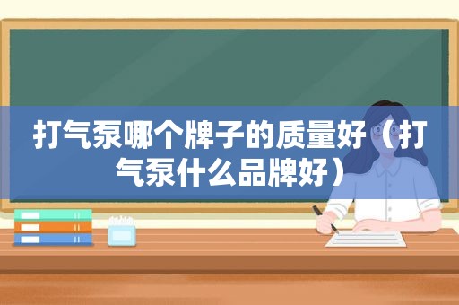 打气泵哪个牌子的质量好（打气泵什么品牌好）