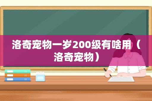 洛奇宠物一岁200级有啥用（洛奇宠物）