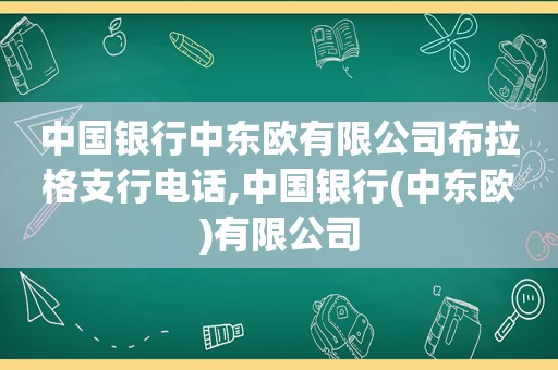 中国银行中东欧有限公司布拉格支行电话,中国银行(中东欧)有限公司