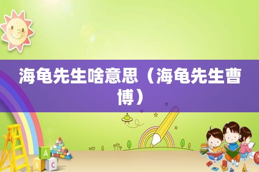 海龟先生啥意思（海龟先生曹博）