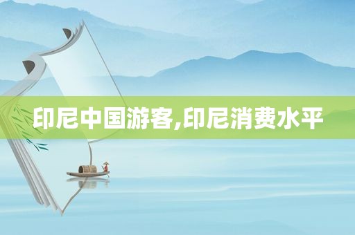 印尼中国游客,印尼消费水平