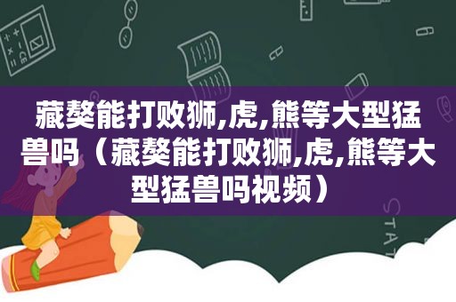 藏獒能打败狮,虎,熊等大型猛兽吗（藏獒能打败狮,虎,熊等大型猛兽吗视频）