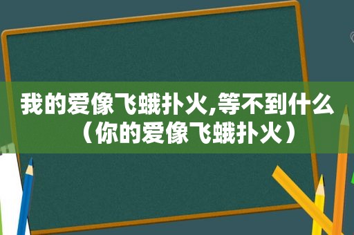 我的爱像飞蛾扑火,等不到什么（你的爱像飞蛾扑火）