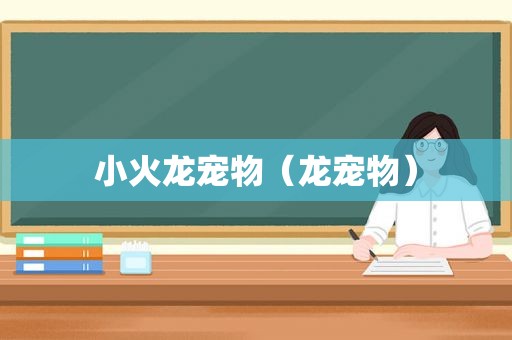 小火龙宠物（龙宠物）