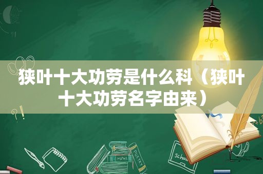 狭叶十大功劳是什么科（狭叶十大功劳名字由来）