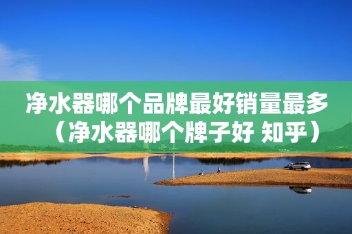 净水器哪个品牌最好销量最多（净水器哪个牌子好 知乎）