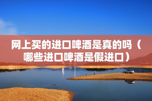 网上买的进口啤酒是真的吗（哪些进口啤酒是假进口）