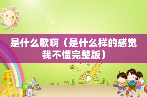是什么歌啊（是什么样的感觉我不懂完整版）