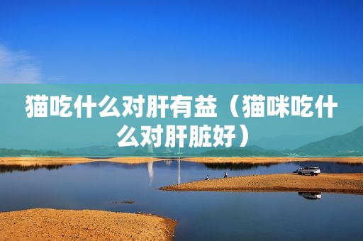 猫吃什么对肝有益（猫咪吃什么对肝脏好）