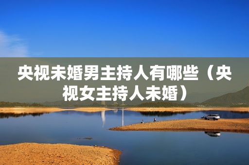 央视未婚男主持人有哪些（央视女主持人未婚）