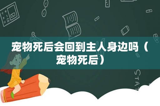 宠物死后会回到主人身边吗（宠物死后）