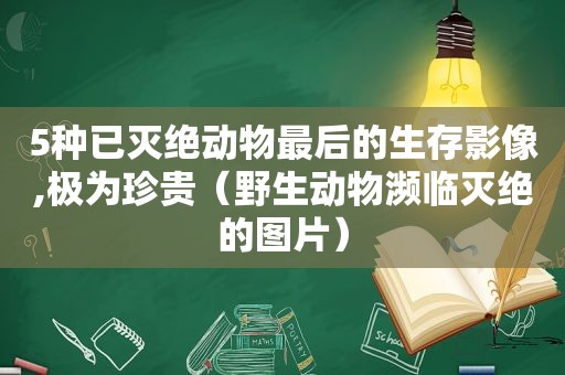 5种已灭绝动物最后的生存影像,极为珍贵（野生动物濒临灭绝的图片）