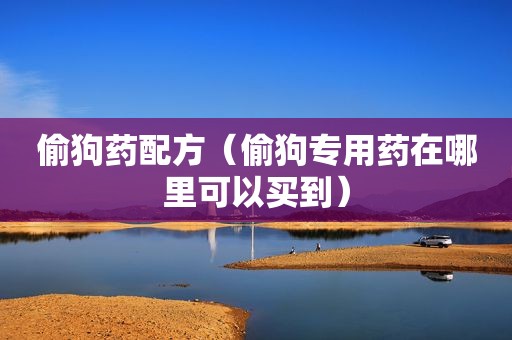 偷狗药配方（偷狗专用药在哪里可以买到）