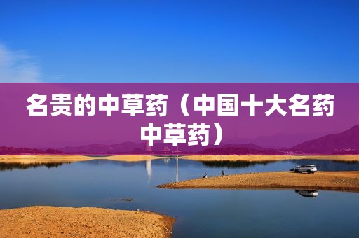 名贵的中草药（中国十大名药中草药）