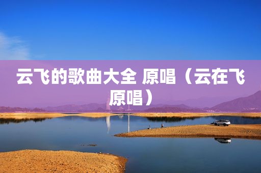 云飞的歌曲大全 原唱（云在飞原唱）
