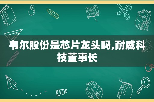 韦尔股份是芯片龙头吗,耐威科技董事长