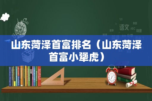 山东菏泽首富排名（山东菏泽首富小犟虎）