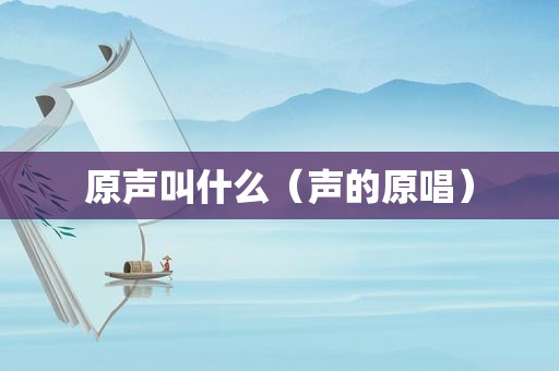 原声叫什么（声的原唱）