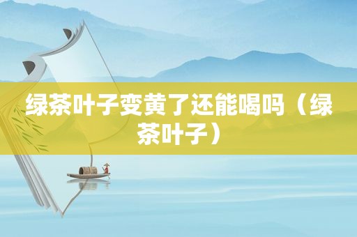 绿茶叶子变黄了还能喝吗（绿茶叶子）