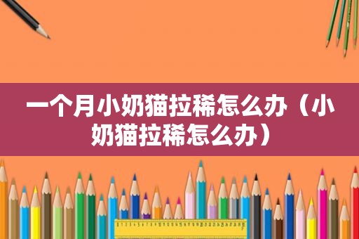 一个月小奶猫拉稀怎么办（小奶猫拉稀怎么办）