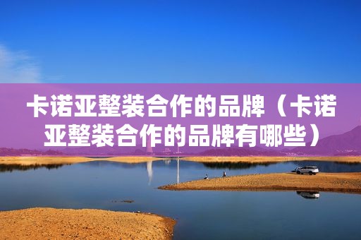 卡诺亚整装合作的品牌（卡诺亚整装合作的品牌有哪些）