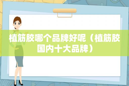 植筋胶哪个品牌好呢（植筋胶国内十大品牌）