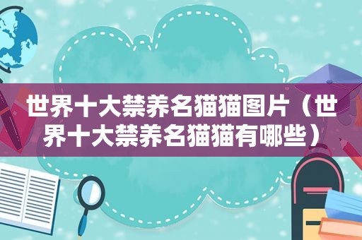 世界十大禁养名猫猫图片（世界十大禁养名猫猫有哪些）