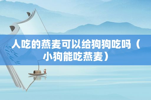 人吃的燕麦可以给狗狗吃吗（小狗能吃燕麦）