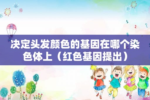 决定头发颜色的基因在哪个染色体上（红色基因提出）