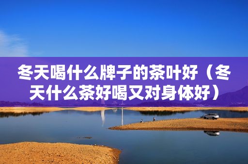 冬天喝什么牌子的茶叶好（冬天什么茶好喝又对身体好）