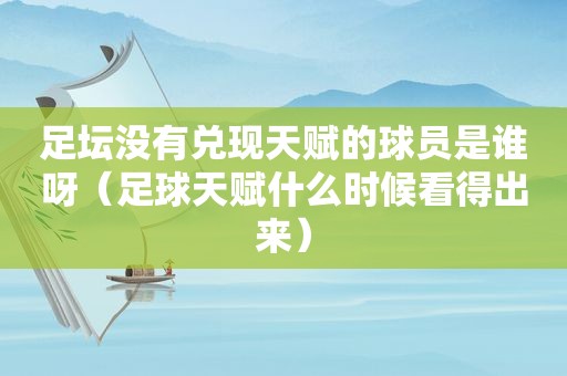 足坛没有兑现天赋的球员是谁呀（足球天赋什么时候看得出来）  第1张