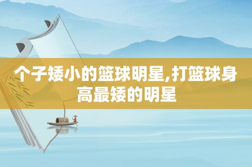 个子矮小的篮球明星,打篮球身高最矮的明星