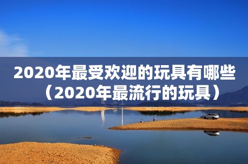 2020年最受欢迎的玩具有哪些（2020年最流行的玩具）