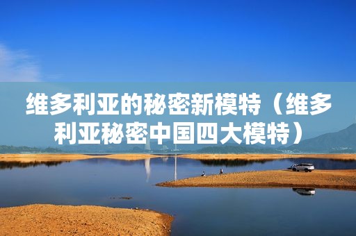 维多利亚的秘密新模特（维多利亚秘密中国四大模特）