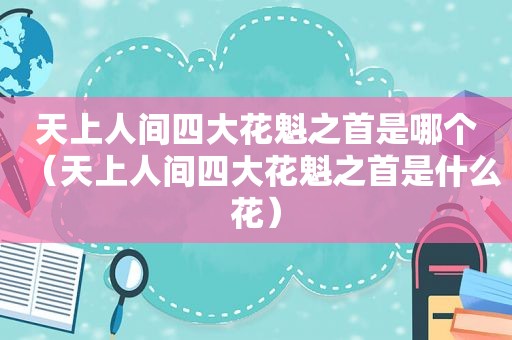 天上人间四大花魁之首是哪个（天上人间四大花魁之首是什么花）
