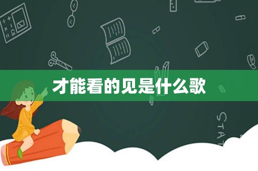才能看的见是什么歌