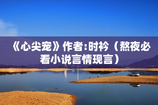 《心尖宠》作者:时衿（熬夜必看小说言情现言）